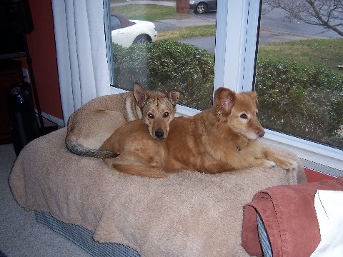 Carter Finley & Missy