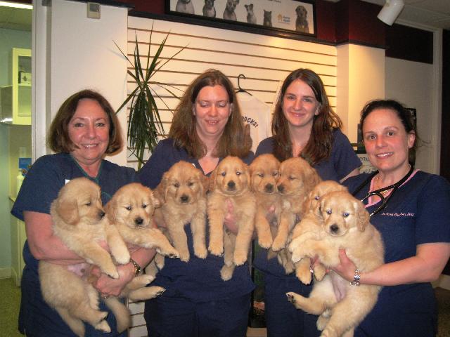 Khloe's Puppies & Staff